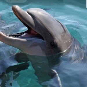 Meet your Posher, Sonya